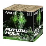 Future Hulk